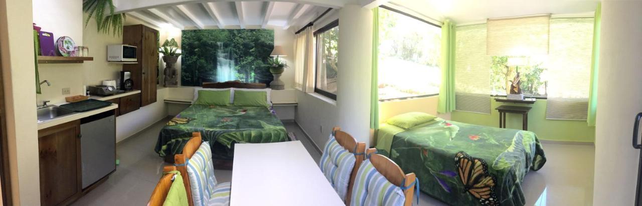 Paris Confort B&B Monteverde Exteriör bild